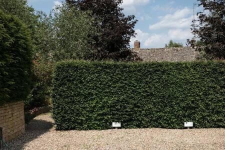 Two Rose Walk Cottage Cotswolds Moreton-in-Marsh Ngoại thất bức ảnh