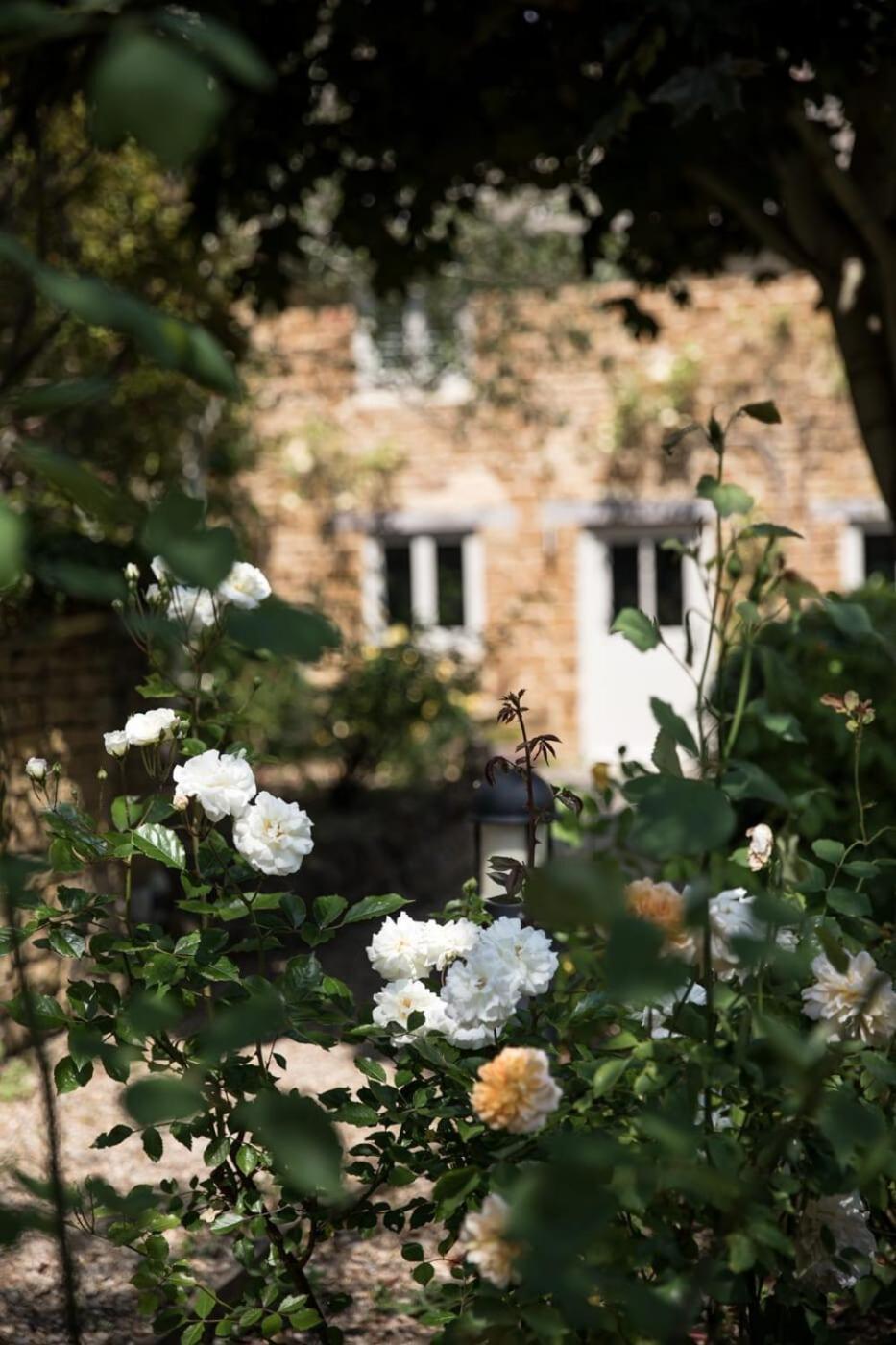 Two Rose Walk Cottage Cotswolds Moreton-in-Marsh Ngoại thất bức ảnh